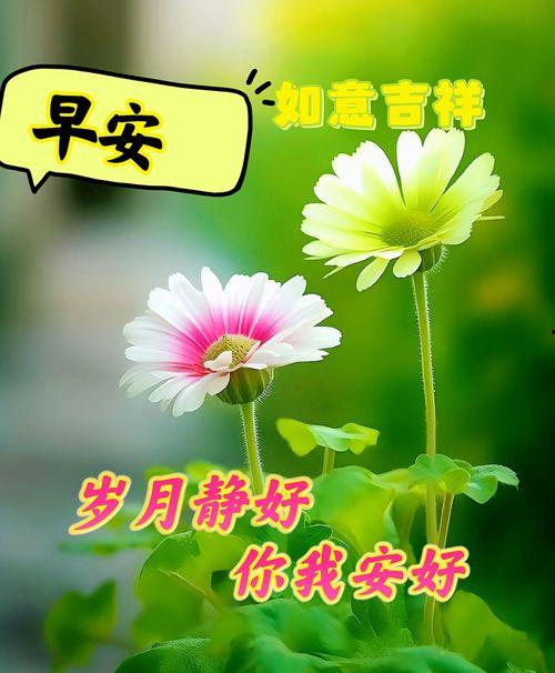 早的图片,早间图景解读