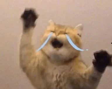 理解万岁搞笑表情包,笑出腹肌的搞笑表情包大盘点