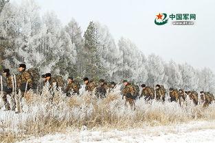 《林海雪原》资料,红色传奇，智勇双全的剿匪英雄