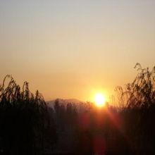 天一的照片,自然画卷中的宁静与和谐