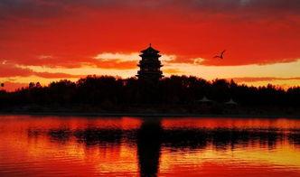 天一的照片,自然画卷中的宁静与和谐