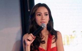 泰国在中国的明星,泰国明星在中国的人气与影响力概述