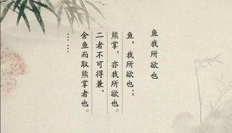 孟子简介资料简介资料,儒家思想的集大成者与仁政理念的倡导者