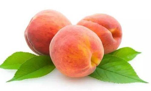 桃子的资料,探寻桃子的营养价值与美味佳肴