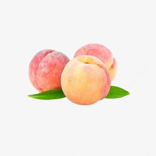 桃子的资料,探寻桃子的营养价值与美味佳肴