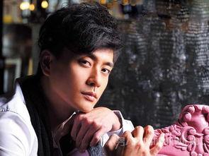 演员黄宗泽个人资料,影视界多面手，魅力与才华并存的实力派演员