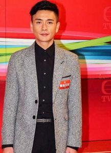 演员黄宗泽个人资料,影视界多面手，魅力与才华并存的实力派演员