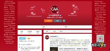 娱乐经纪公司客户,揭秘娱乐经纪公司打造璀璨星途的幕后故事