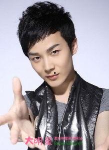 沈凌资料,才华横溢的歌手与音乐制作人