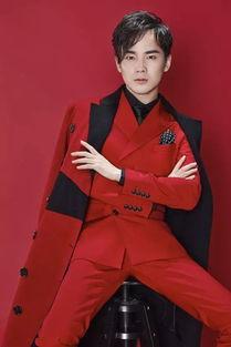 沈凌资料,才华横溢的歌手与音乐制作人