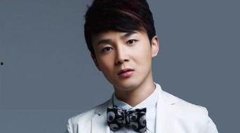 沈凌资料,才华横溢的歌手与音乐制作人