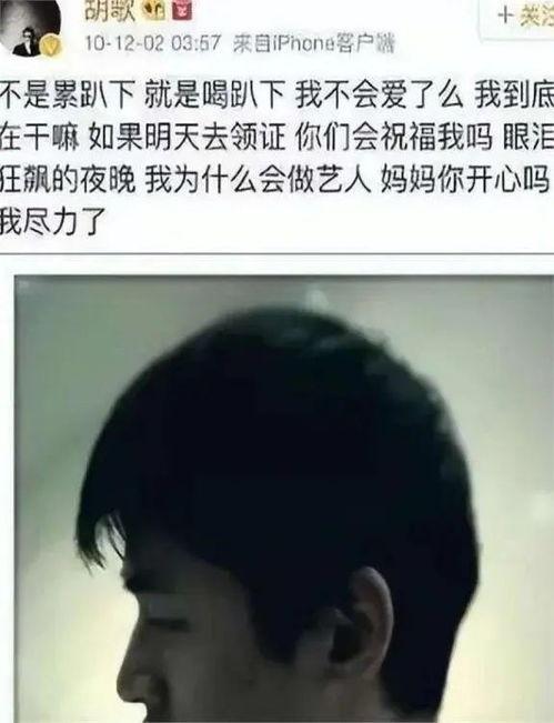 助理张冕个人资料,助理精英，助力事业腾飞