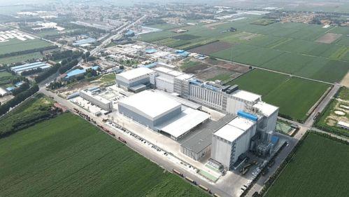 平度北苑大鹏照片