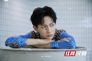 如何通过番号查演员,揭秘如何通过番号追踪演员身影