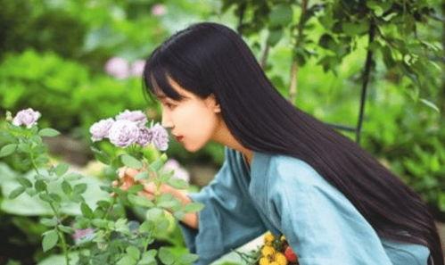 知名网红李子柒,李子柒的非遗生活美学之旅