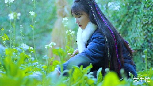 知名网红李子柒,李子柒的非遗生活美学之旅