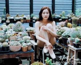 陈滢tvb个人资料,TVB当红小花旦的璀璨星途与魅力人生