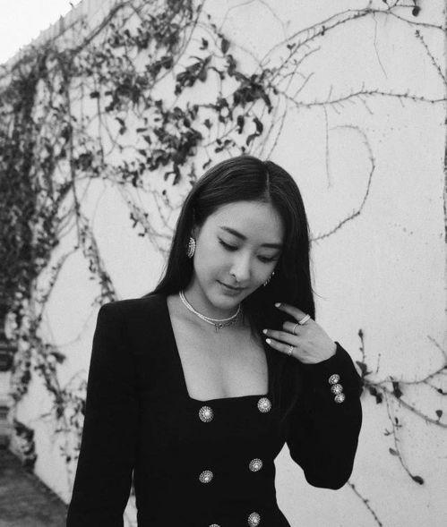 陈滢tvb个人资料,TVB当红小花旦的璀璨星途与魅力人生