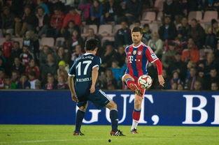 娱乐明星拜仁球迷