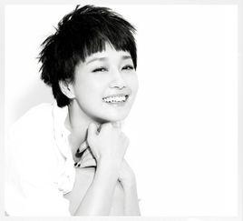 信 明星,闪耀舞台的璀璨星辰