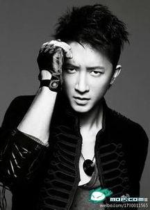 信 明星,闪耀舞台的璀璨星辰