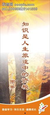 雨果背景,文学巨匠的传奇人生与不朽作品