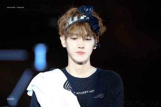 exo wolf背景照片是谁,EXO-Wolf背景照片背后的神秘艺术家揭秘